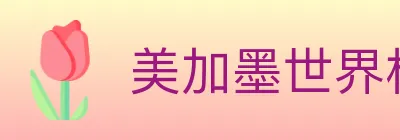 美加墨世界杯买球官方网站 logo